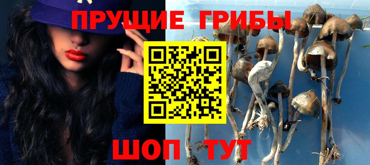 Хабаровск  Псилоцибиновые грибы ЛСД  Вход с VPN  цены   Псилоцибиновые грибы ЛСД 